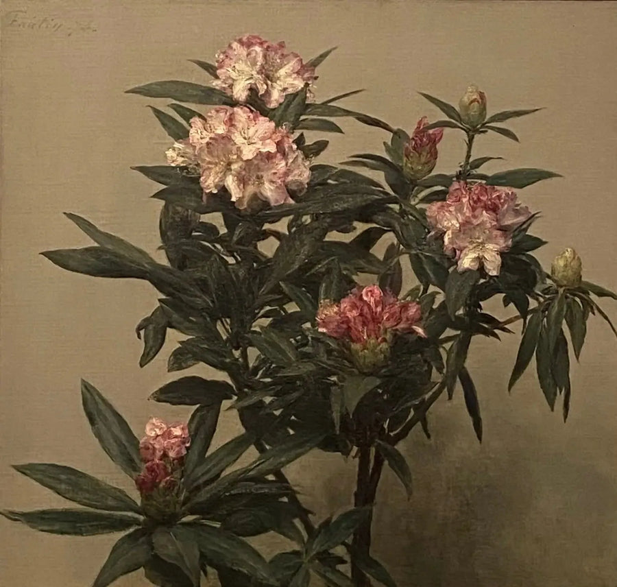 Rhododendrons - Henri Fantin-Latour

Source:
Rhododendrons - Henri Fantin-Latour