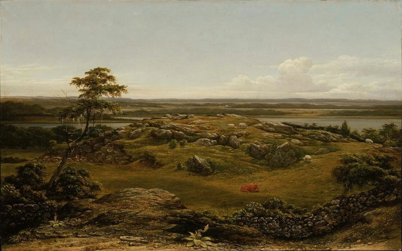Rotsen en Nieuw-Anglië - Martin Johnson Heade

Source:
Rochers en Nouvelle-Angleterre - Martin Johnson Heade