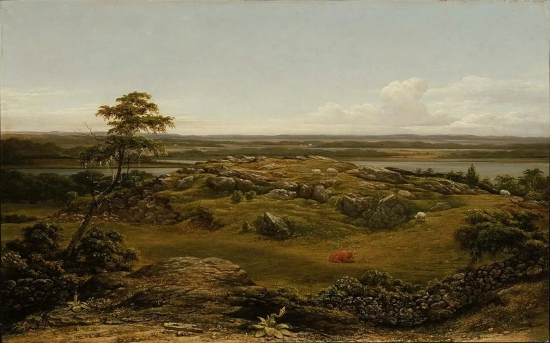 Rotsen en Nieuw-Anglië - Martin Johnson Heade

Source:
Rochers en Nouvelle-Angleterre - Martin Johnson Heade