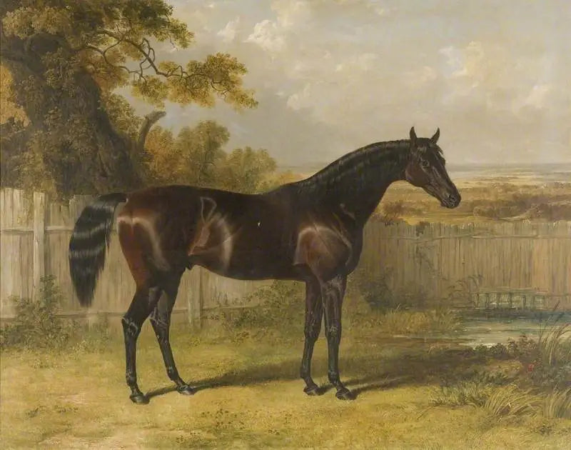 Reproductie van het schilderij Rockingham - John Frederick Herring, Sr.

Source:
Rockingham - John Frederick Herring, Sr.