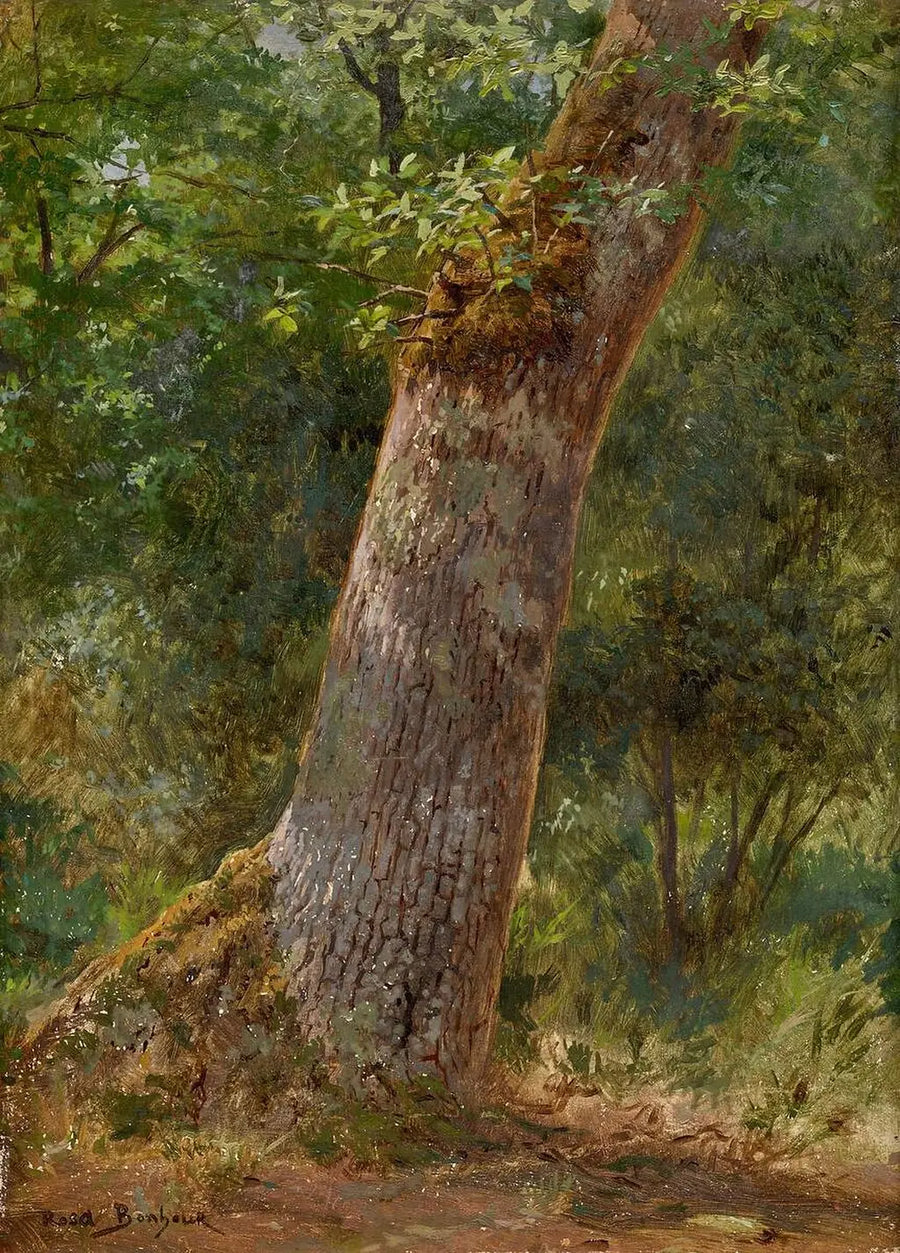 Paysage, étude d'arbres, peinture de Rosa Bonheur