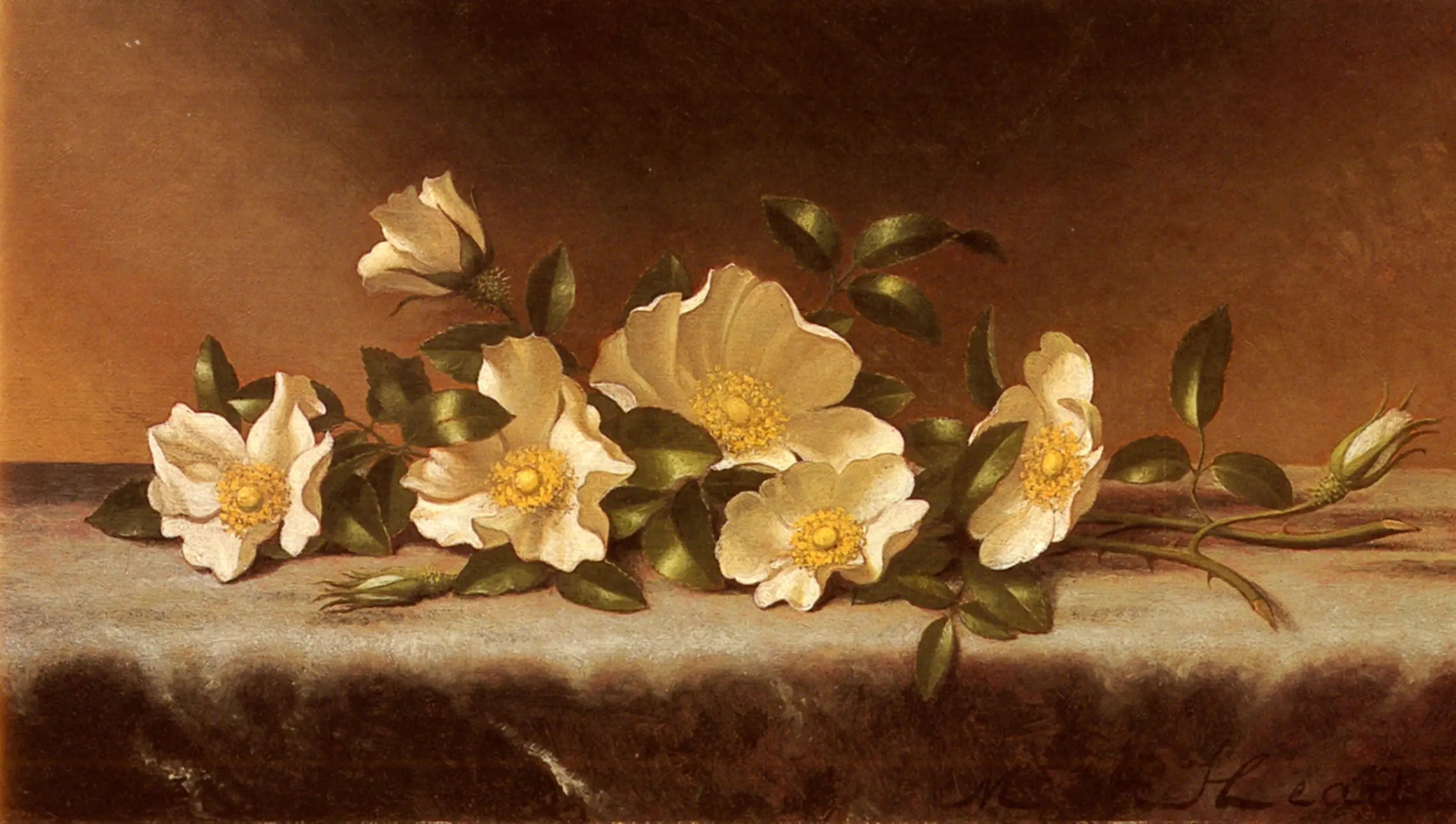 Roses Cherokee sur un tissu gris clair - Martin Johnson Heade image 1 copie de tableau peinte à la main