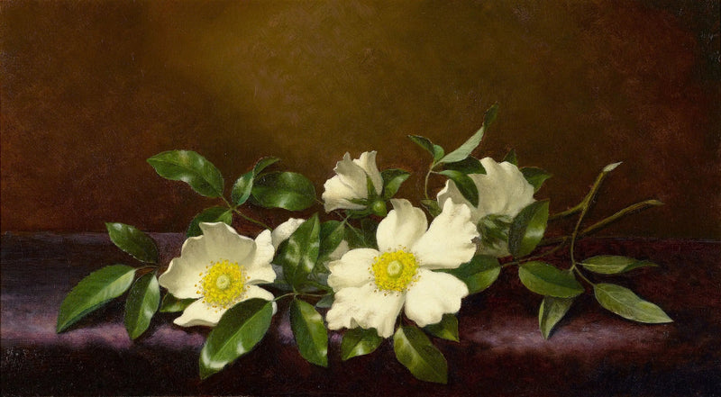 Rozen Cherokee op een paarse stof - Martin Johnson Heade

Source:
Roses Cherokee sur un tissu violet - Martin Johnson Heade