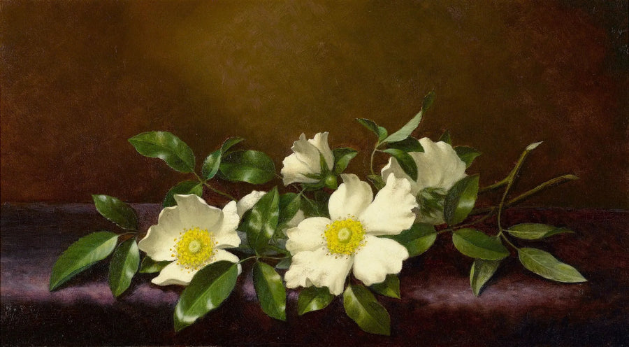Rozen Cherokee op een paarse stof - Martin Johnson Heade

Source:
Roses Cherokee sur un tissu violet - Martin Johnson Heade