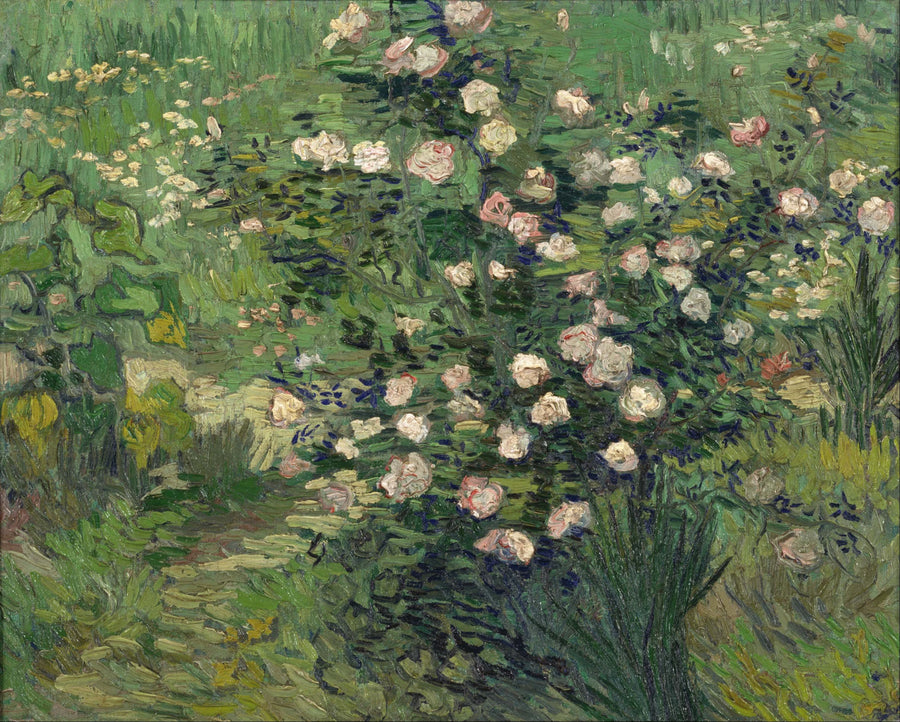 Rozen - Vincent van Gogh