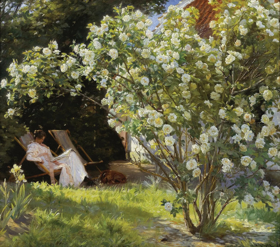 Rozen - Peder Severin Krøyer