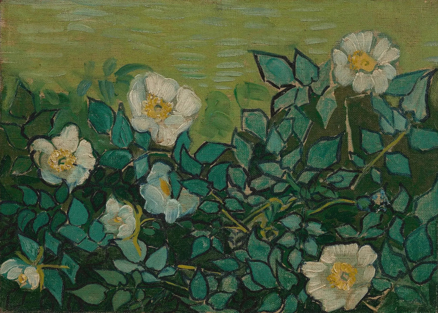 Wilde rozen - Vincent van Gogh