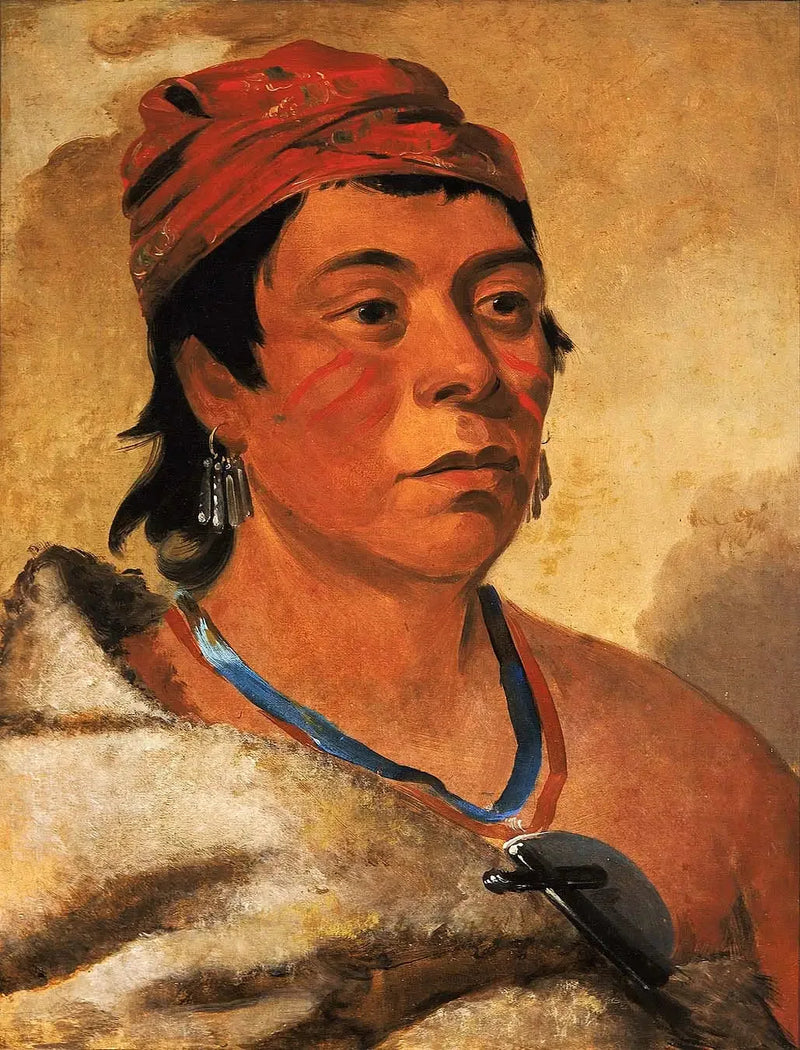 Ronde Eiland, een krijger - George Catlin

Source:
Round Island, un guerrier - George Catlin