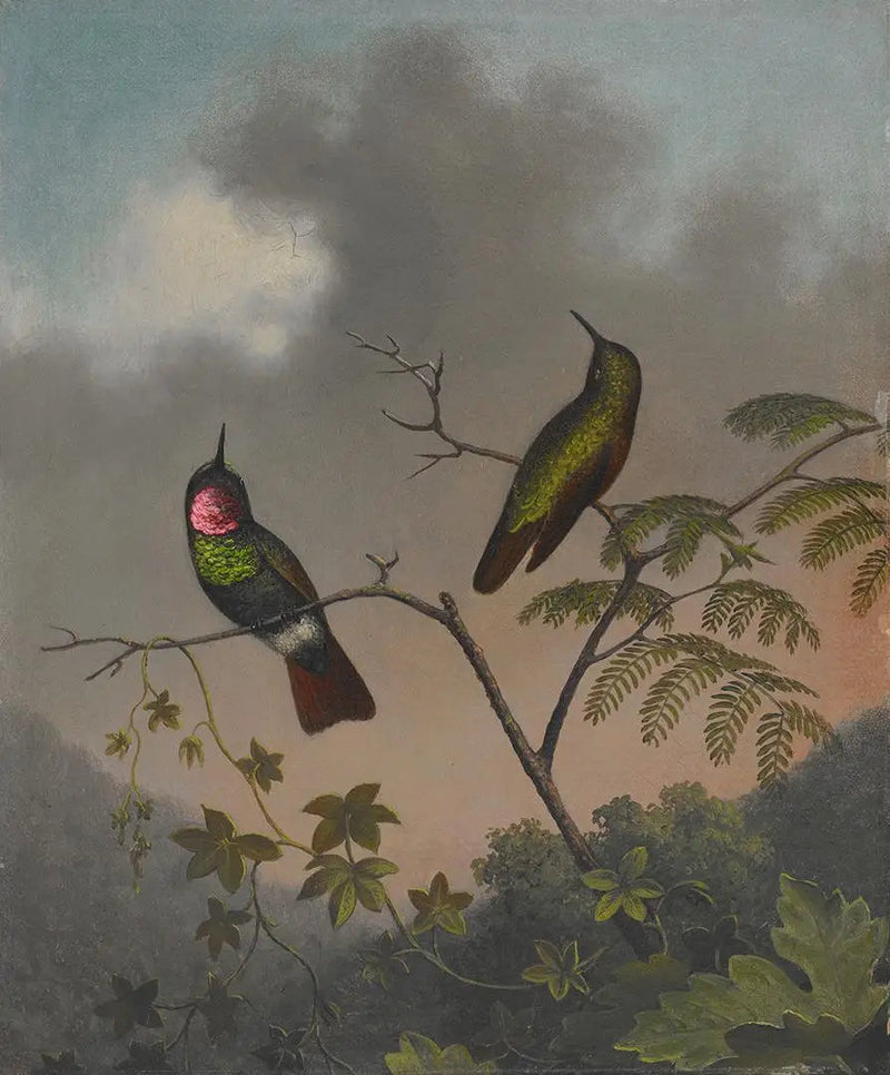 Brazilliaanse robijn - Martin Johnson Heade

Source:
Rubis brésilien - Martin Johnson Heade