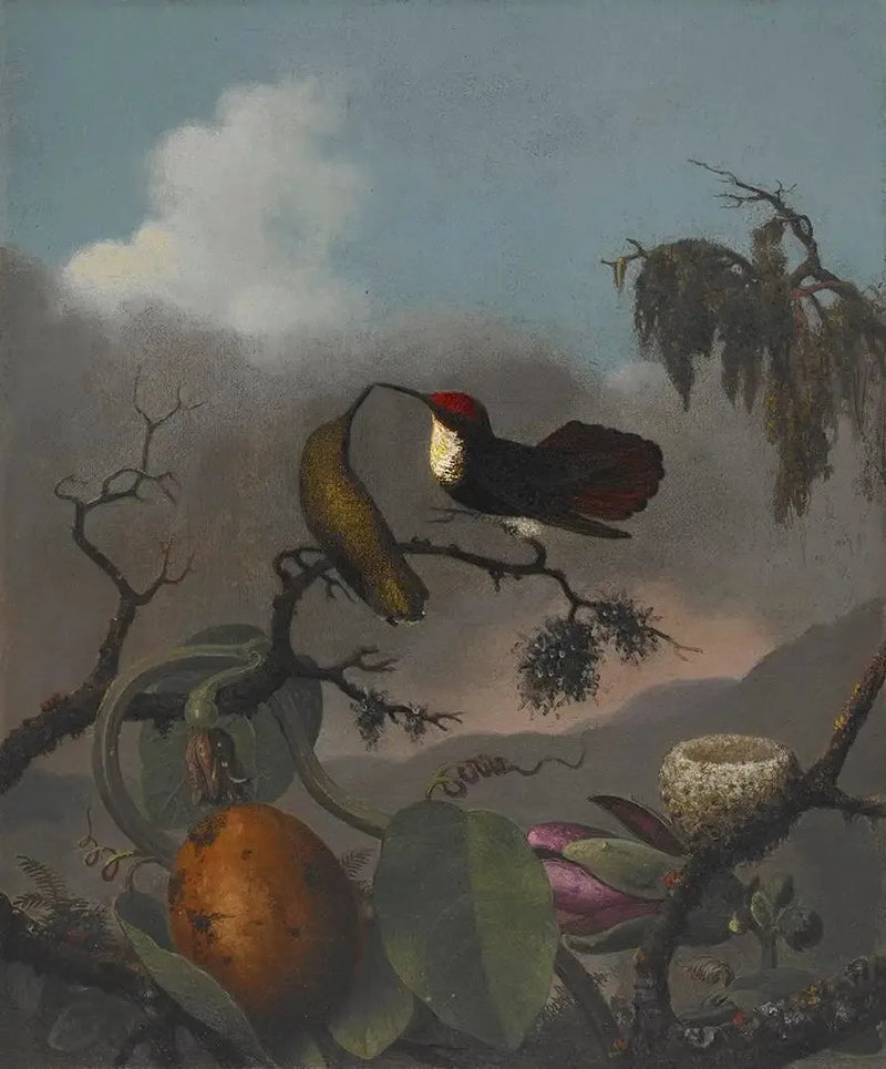 Rubis-Topaas - Martin Johnson Heade

Source:
Rubis-Topaze - Martin Johnson Heade