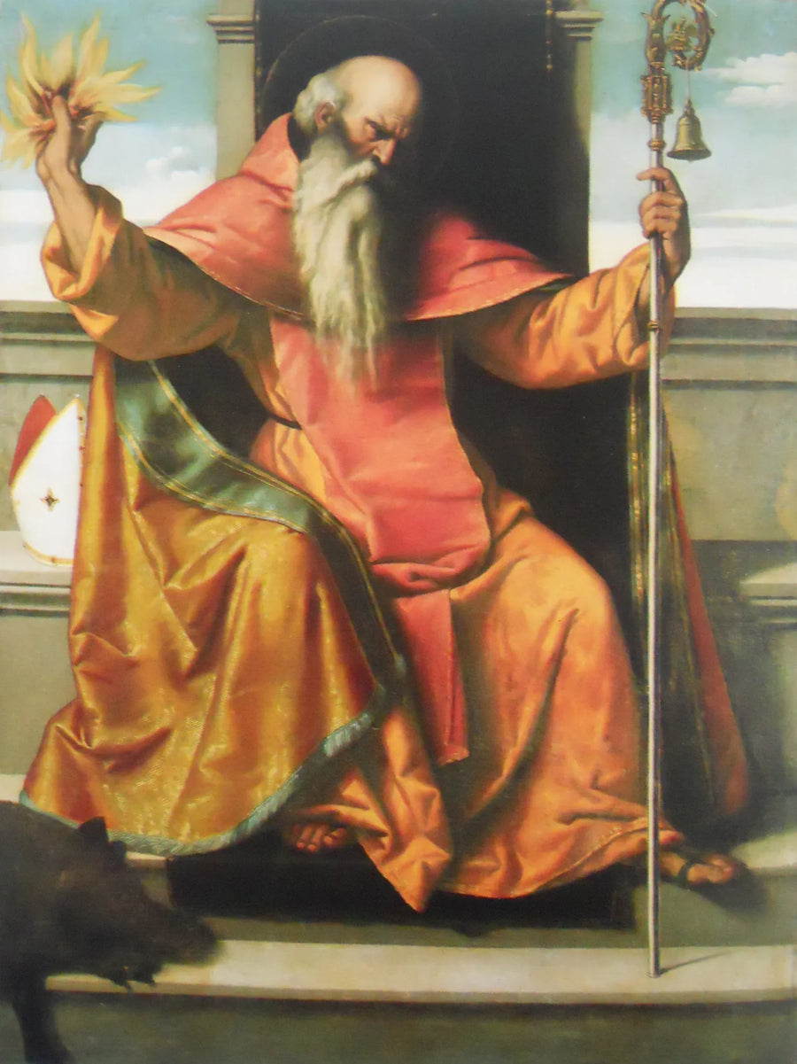 Sint-Antonius Abt - Alessandro Bonvicino