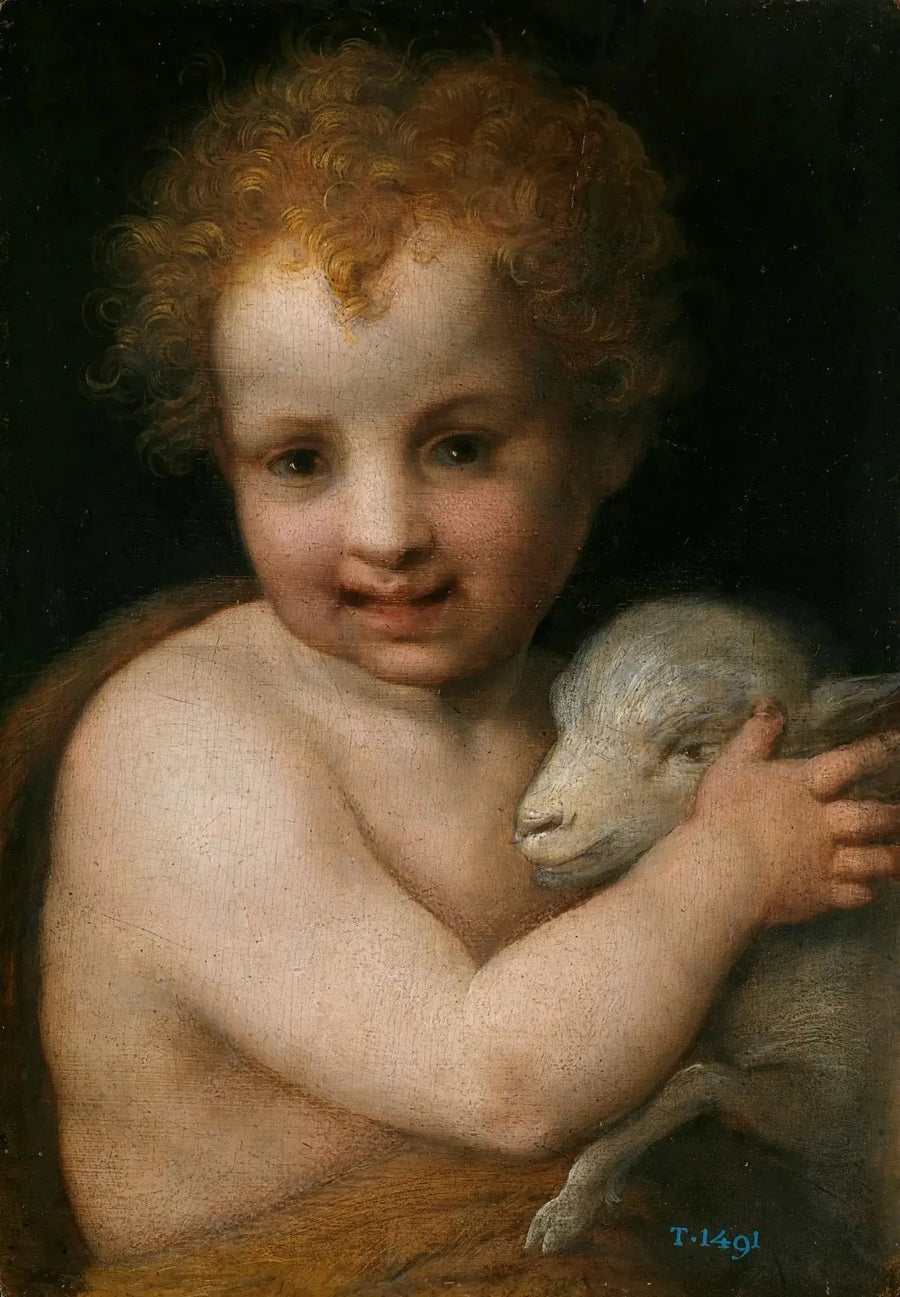 Sint-Jan de Doper met het Lam - Andrea del Sarto