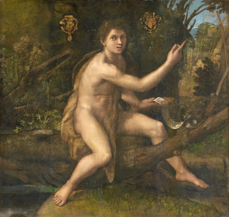 Sint Johannes de Doper in de woestijn die het kruis van de Passie aanwijst - Raphael Sanzio