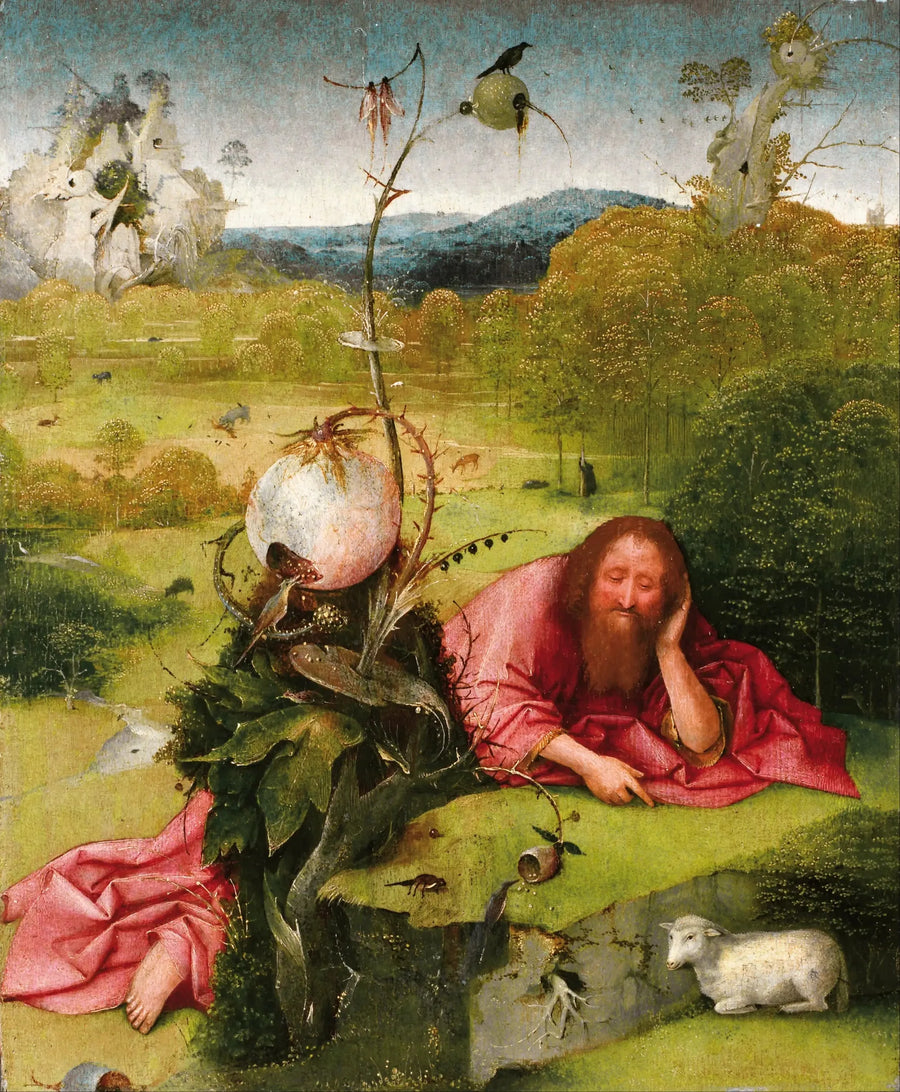 Sint-Jan de Doper in de woestijn - Hieronymus Bosch