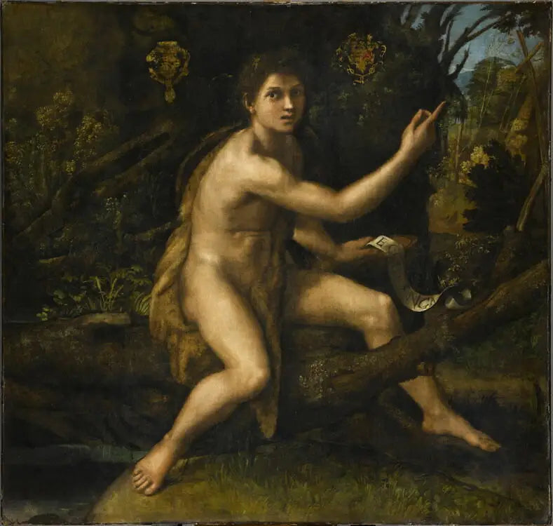 Sint Jan de Doper in de woestijn - Raphael Sanzio
