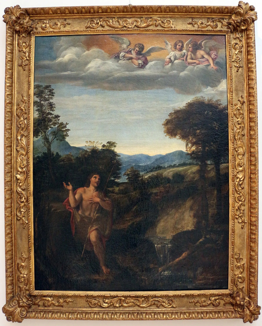 Sint-Jan de Doper in een landschap - Annibale Carracci