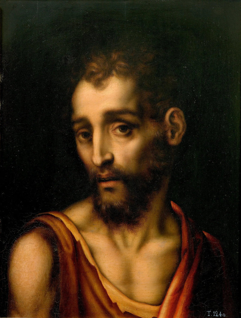 Sint-Jan de Doper - Luis de Morales