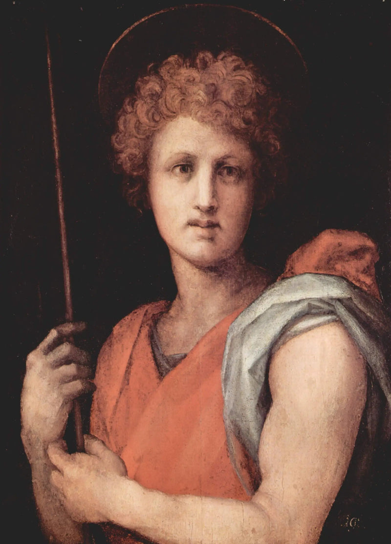 Sint-Jan de Doper - Pontormo