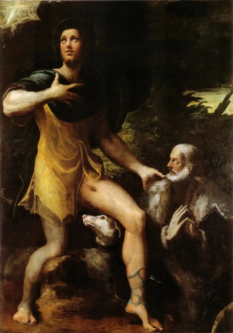Sint Rochus en een schenker - Parmigianino