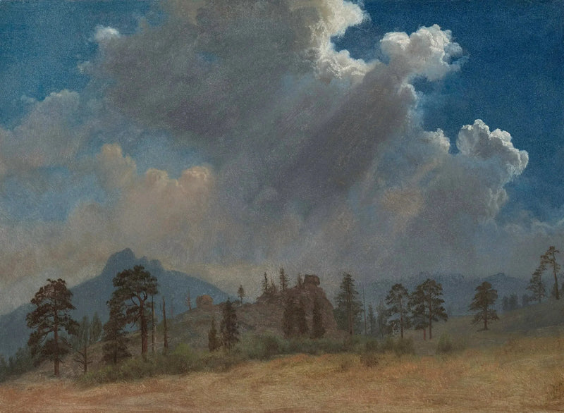 Dennenbomen en onweerswolken - Albert Bierstadt

Source:
Sapins et nuages d'orage - Albert Bierstadt