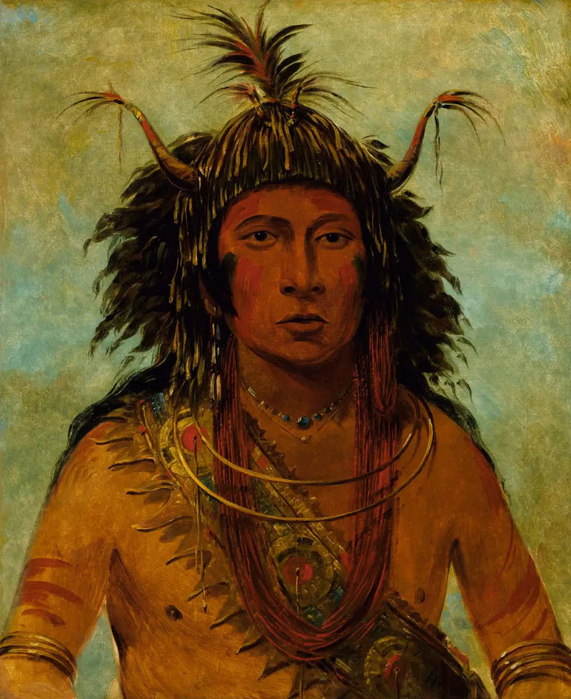 Say-say-gon, Hagelstorm, Oorlogshoofd - George Catlin

Source:
Say-say-gon, Tempête de grêle, Chef de guerre - George Catlin