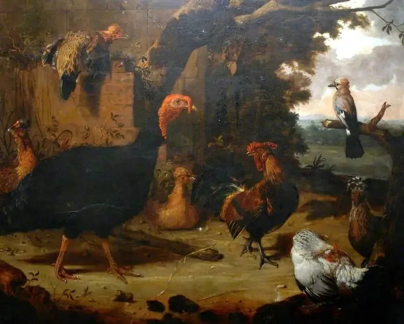 Boerderijscène, de zwarte kalkoen - Melchior de Hondecoeter