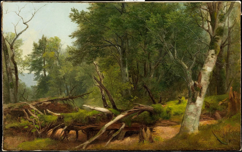 Boslandschap in de Catskills - Asher Brown Durand

Source:
Scène de forêt dans les Catskills - Asher Brown Durand