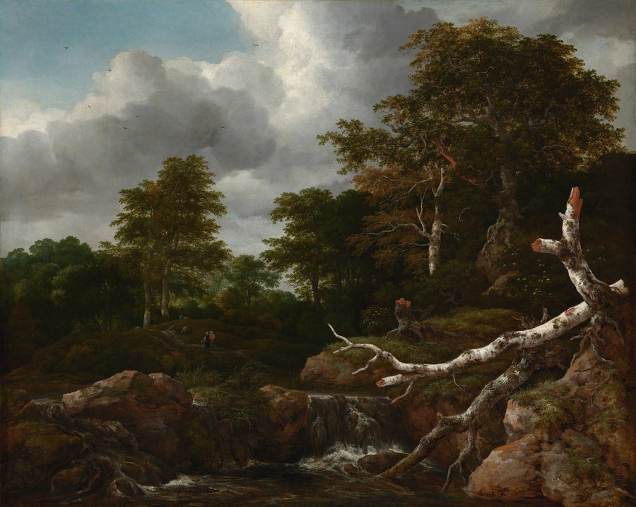 Scène de la forêt - Jacob van Ruisdael