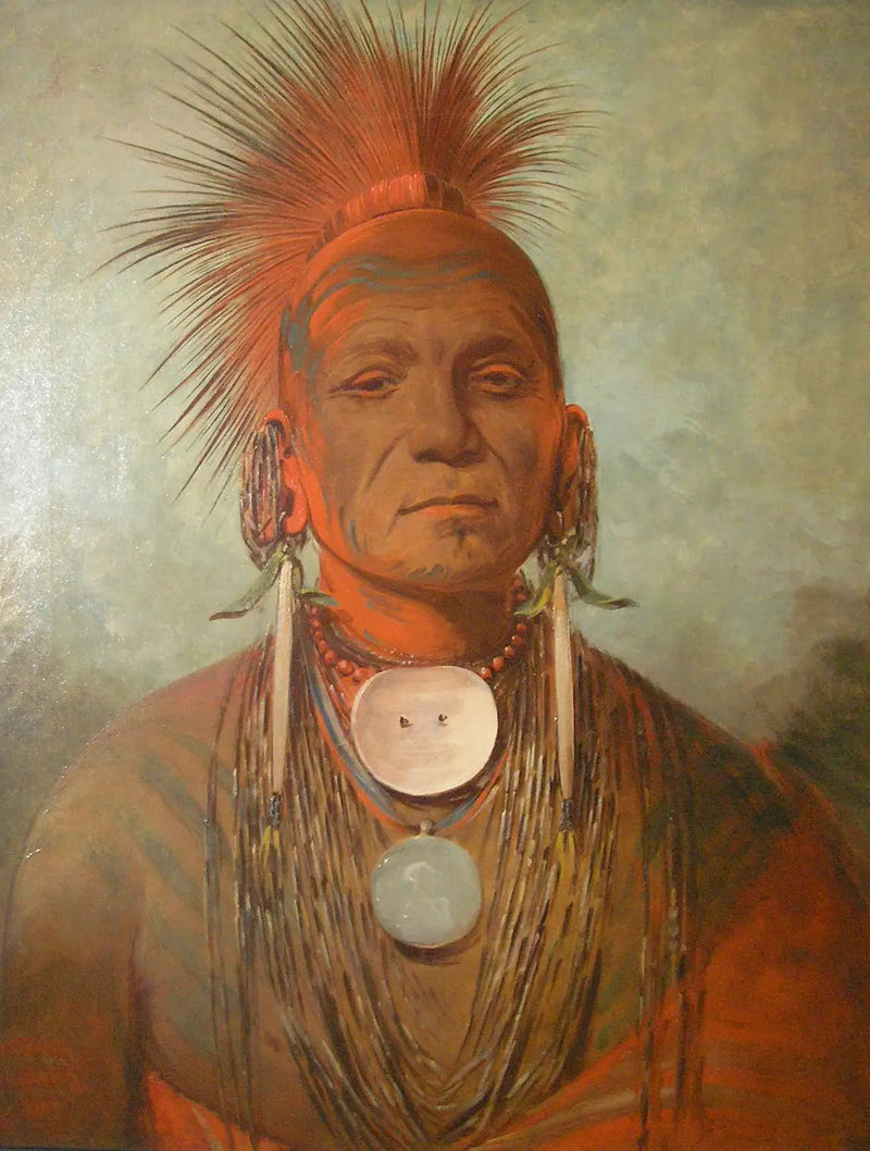 The Source: See-non-ty-a, een genezer uit Iowa - George Catlin