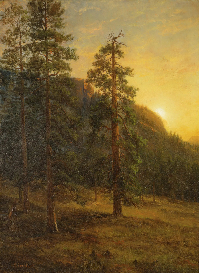 Sequoia's van Californië - Albert Bierstadt

Source:
Séquoias de Californie - Albert Bierstadt