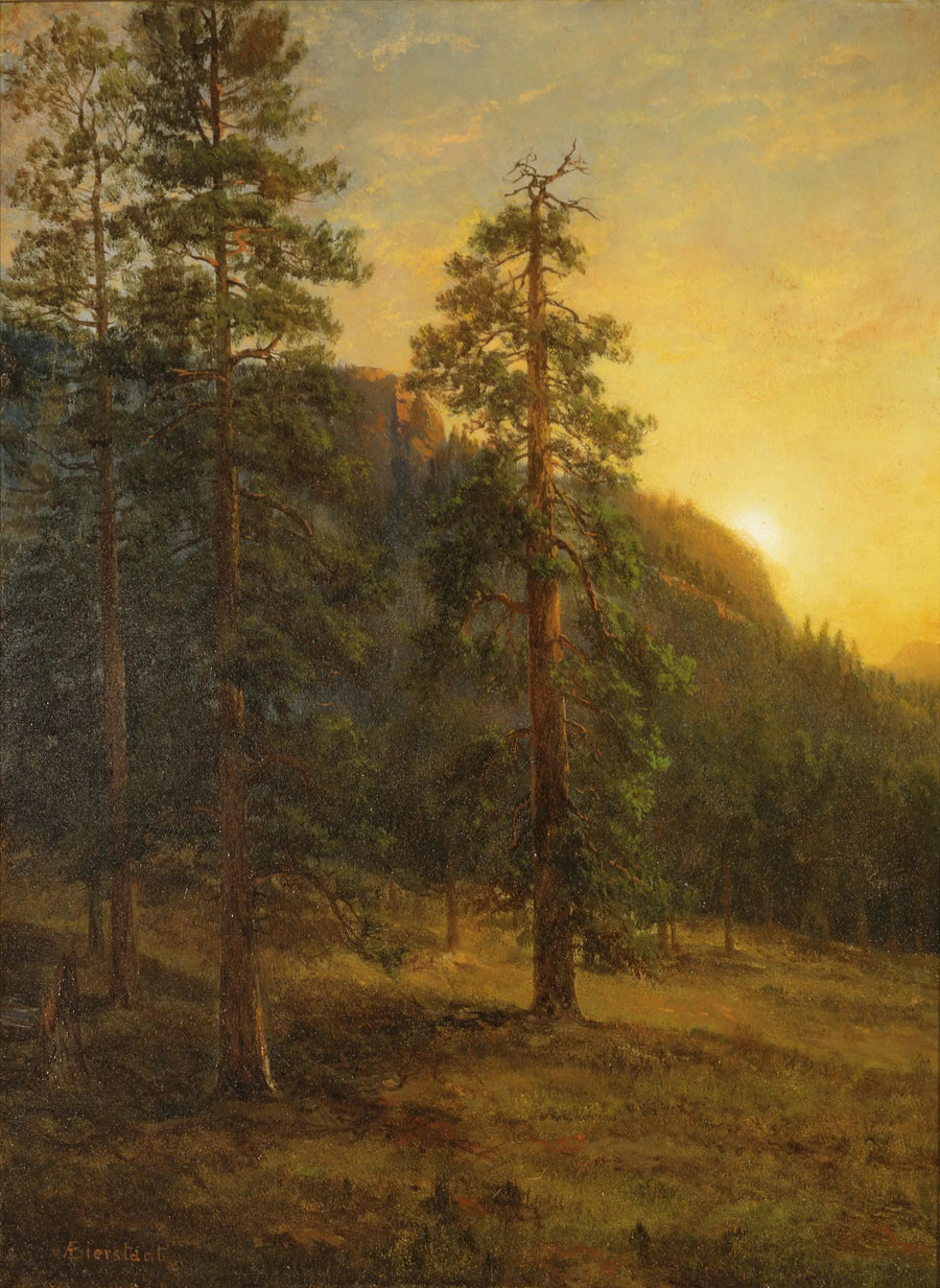 Sequoia's van Californië - Albert Bierstadt

Source:
Séquoias de Californie - Albert Bierstadt