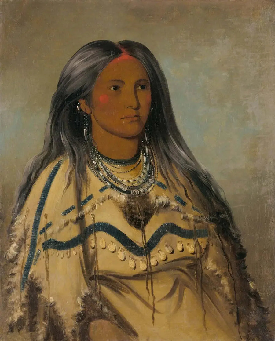 Sha-kó-ka, Mint, een mooi meisje - George Catlin

Source:
Sha-kó-ka, Mint, une jolie fille - George Catlin