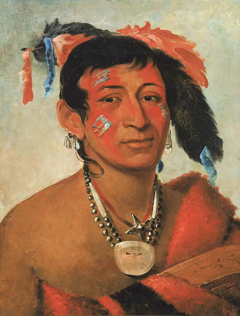Sha-wá-no, Het Zuiden, een erkende krijger - George Catlin

Source:
Sha-wá-no, Le Sud, un guerrier reconnu - George Catlin