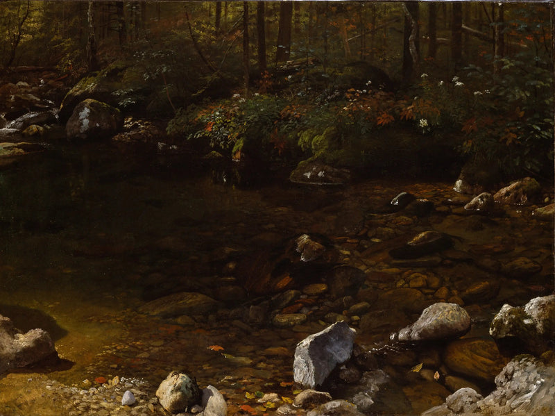 Schaduwrijke Zwembad, Witte Bergen, New Hampshire - Albert Bierstadt

Source:
Shady Pool, White Mountains, New Hampshire - Albert Bierstadt
