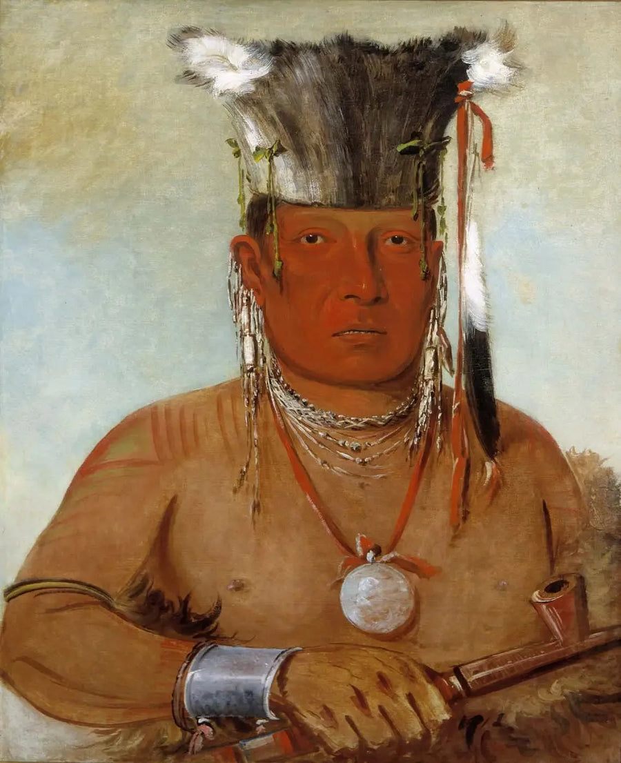 Sháw-da-mon-nee, hier is hij dan, een dappere - George Catlin

Source:
Sháw-da-mon-nee, le voilà, un brave - George Catlin