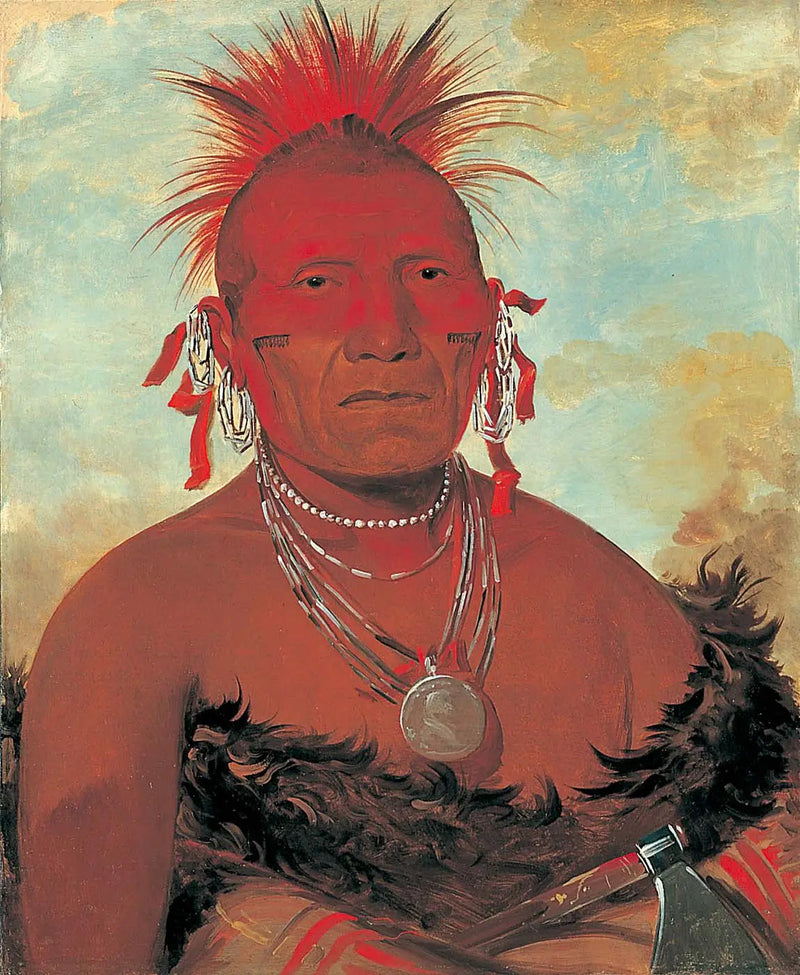 Shón-ka-ki-he-ga, paardenhoofd, grote chef Pawnee - George Catlin

Source:
Shón-ka-ki-he-ga, chef de cheval, grand chef Pawnee - George Catlin