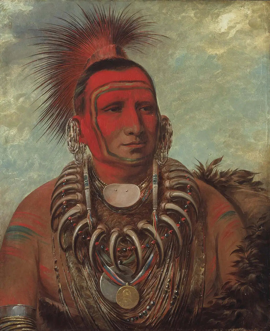 Shon-ta-yi-ga, Kleine Wolf, een beroemde krijger - George Catlin

Source:
Shon-ta-yi-ga, Petit Loup, un célèbre guerrier - George Catlin