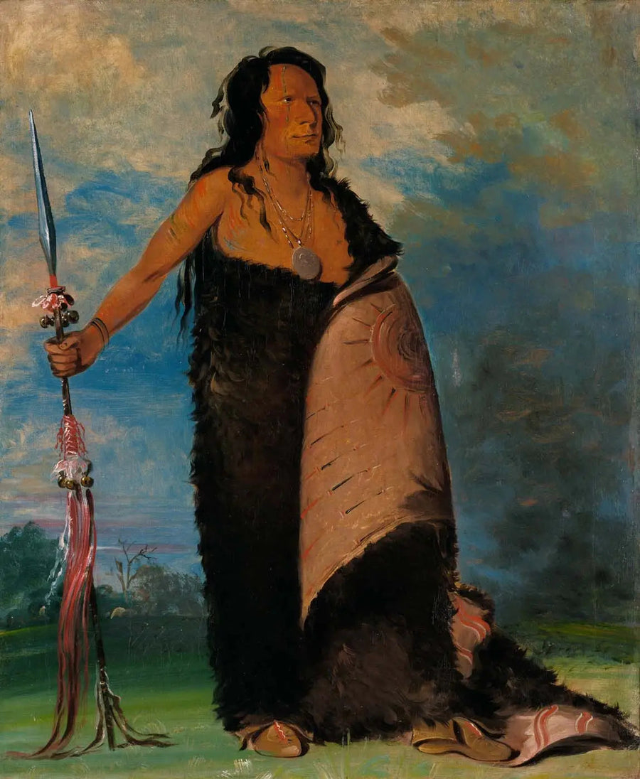 Shoo-de-gá-cha, De Rook, Chef van de Stam - George Catlin

Source:
Shoo-de-gá-cha, La Fumée, Chef de la Tribu - George Catlin