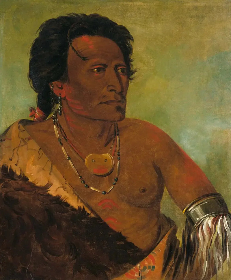 Sky-se-ró-ka, tweede leider van de stam - George Catlin

Source:
Sky-se-ró-ka, deuxième chef de la tribu - George Catlin