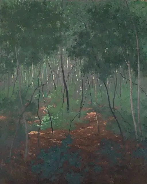 Onderbos, lichte bomen - Félix Vallotton

Source:
Sous-bois, arbres légers - Félix Vallotton