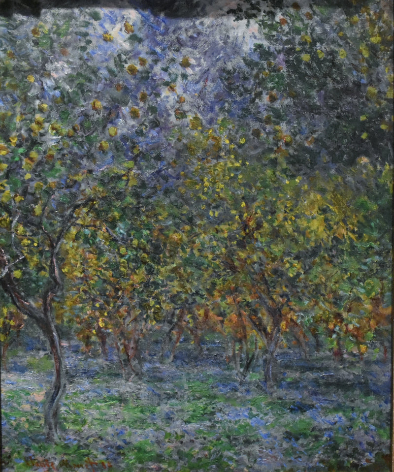 Onder de citroenen - Claude Monet