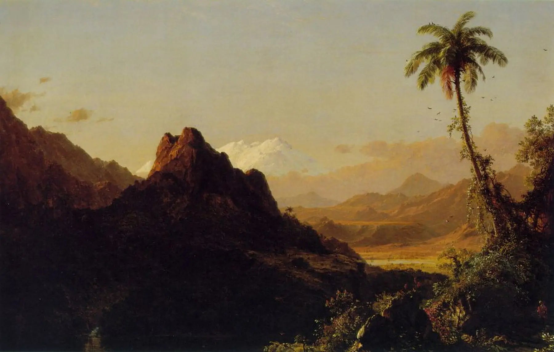 Sous les tropiques - Frederic Edwin Church - Alpha Reproduction