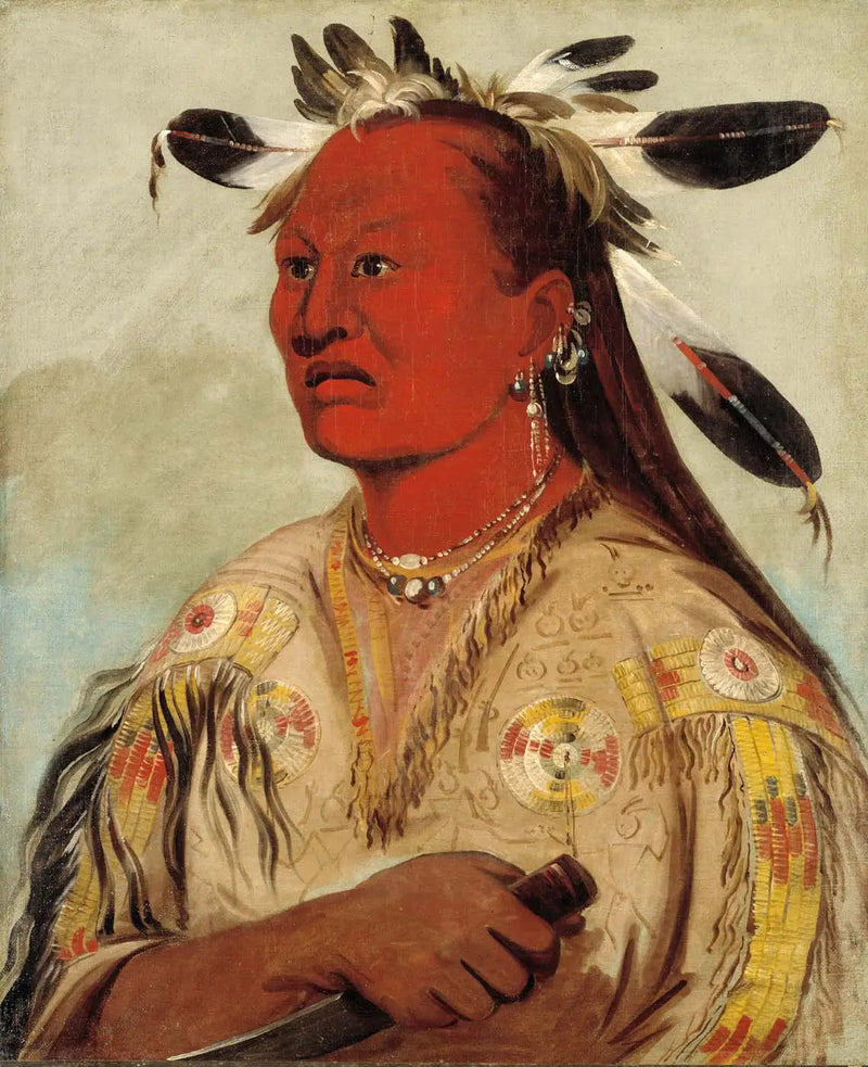 Stán-au-pat, Bloody Hand, chef van de stam - George Catlin

Source:
Stán-au-pat, Bloody Hand, chef de la tribu - George Catlin