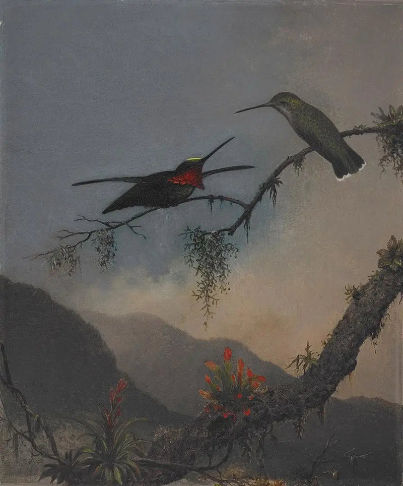 Starthroat met gestreepte borst - Martin Johnson Heade

Source:
Starthroat à poitrine rayée - Martin Johnson Heade