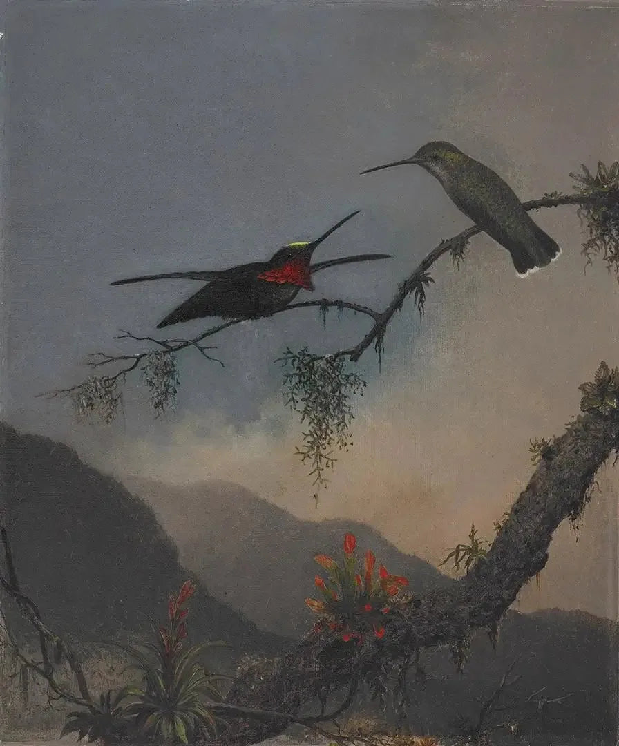 Starthroat met gestreepte borst - Martin Johnson Heade

Source:
Starthroat à poitrine rayée - Martin Johnson Heade