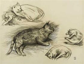 Étude de chats - Théophile Alexandre Steinlen
