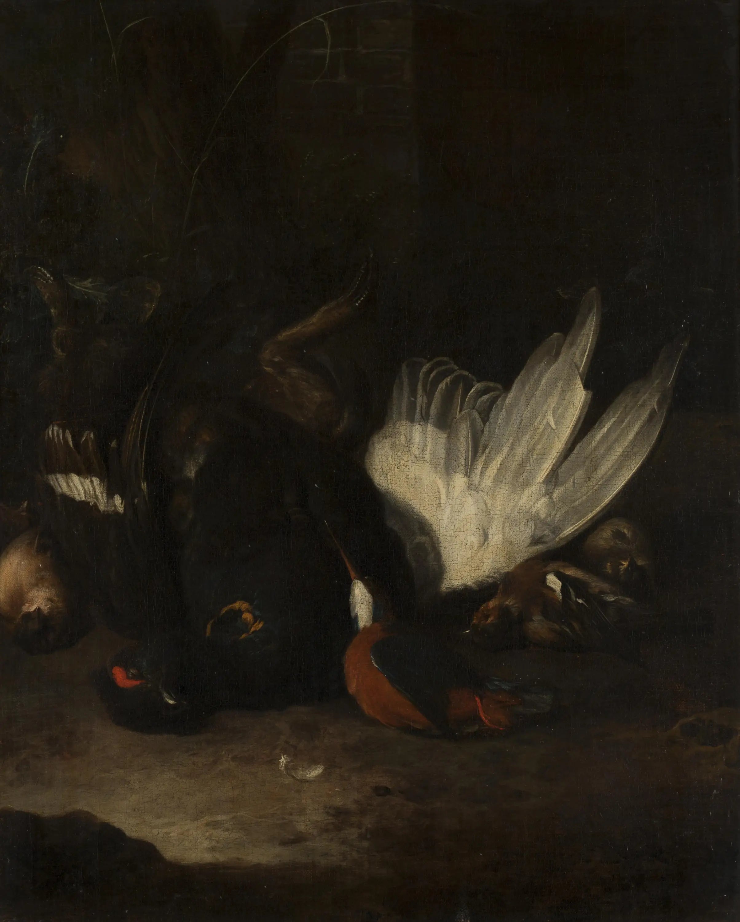 Q24066967 - Melchior de Hondecoeter - Alpha Reproduction