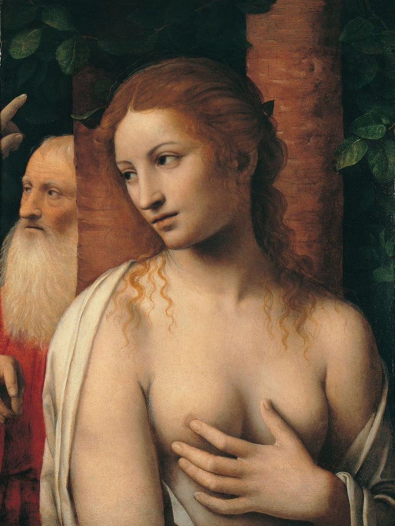 Suzanne en de oudsten - Bernardino Luini