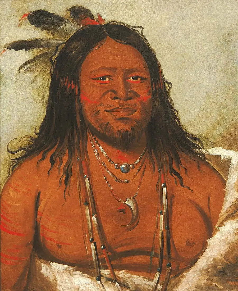 Ta-wáh-que-nah, rotsberg, tweede leider van de stam - George Catlin

Source:
Ta-wáh-que-nah, Montagne des Rochers, Deuxième Chef de la Tribu - George Catlin
