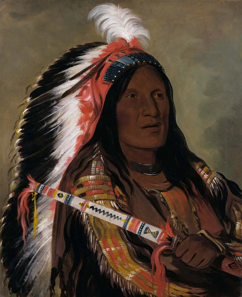 Táh-téck-a-da-háir, Vent raide, een dapperheid van de groep Bad Arrow Points - George Catlin

Source:
Táh-téck-a-da-háir, Vent raide, un brave du groupe Bad Arrow Points - George Catlin